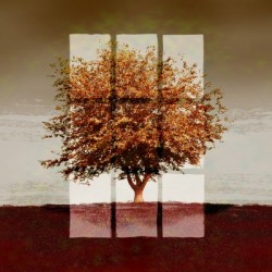Window on a Sienna Tree 3x2